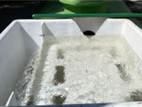 Regulador de caudal mecánico